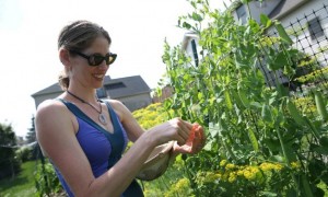 Jessica in The Buffalo News